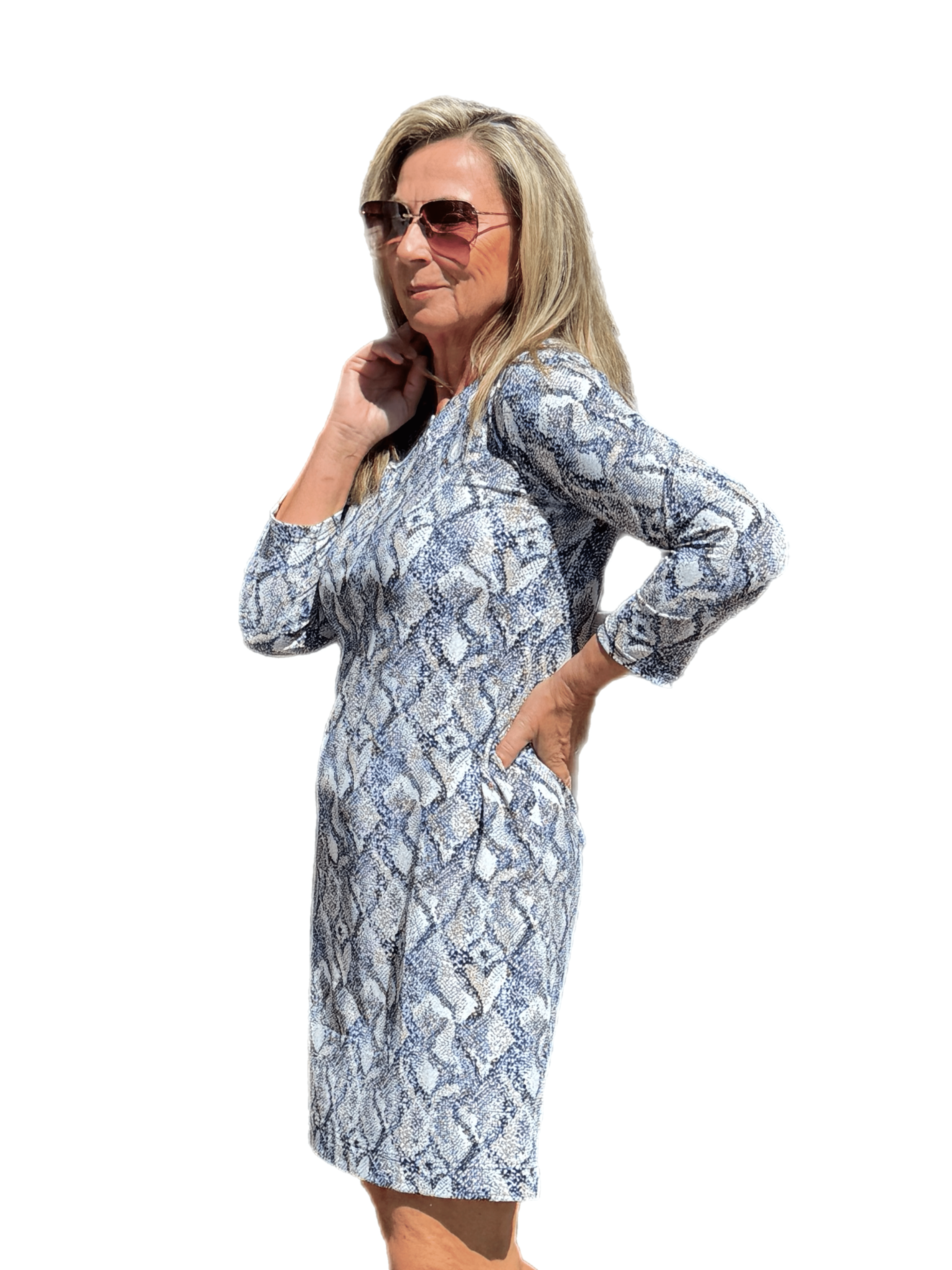 Notched V-Neck Travel Dress with UPF50+ Taupe Python - Back of the Bay Boutique