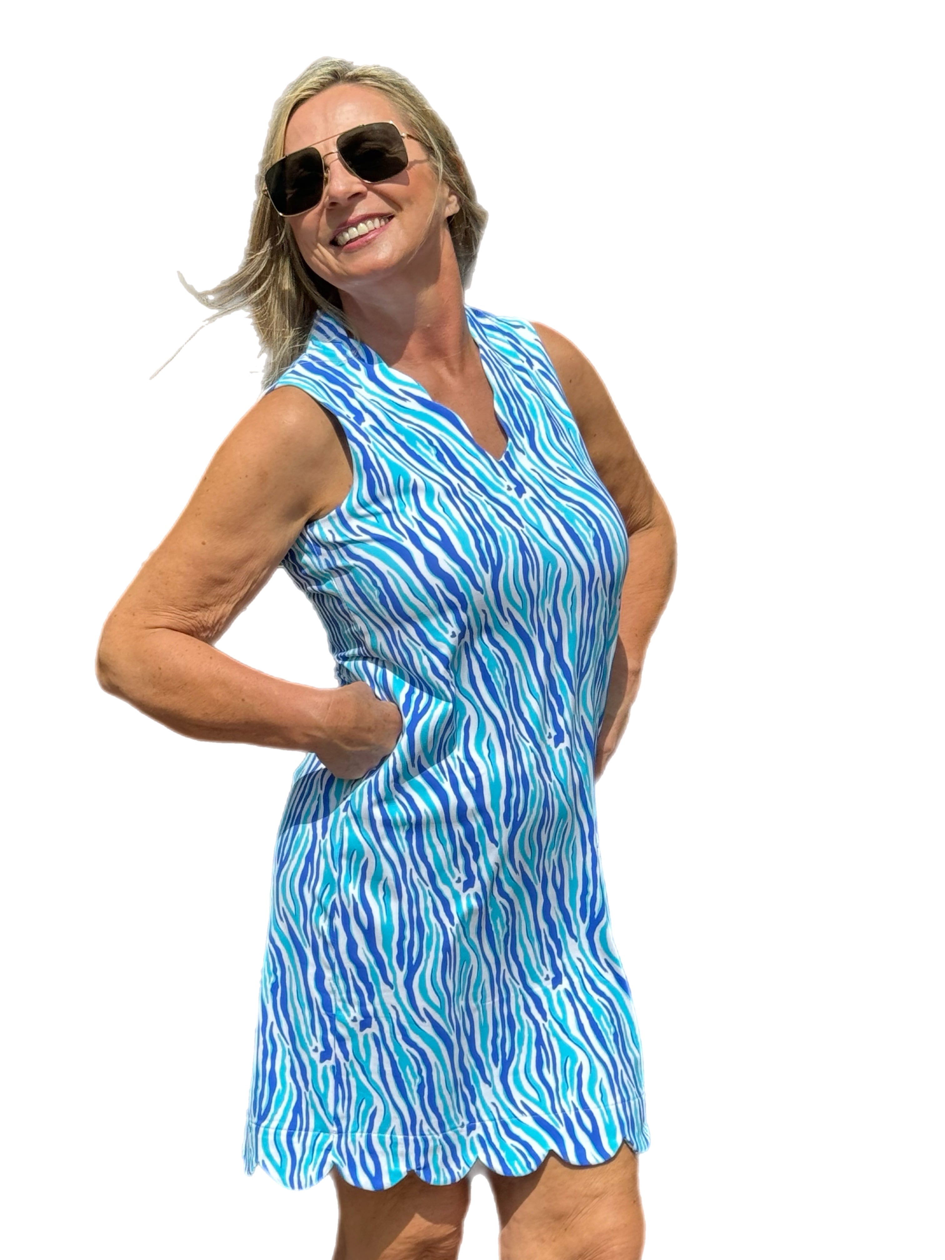 Lulu B Blue Zebra Travel Dress